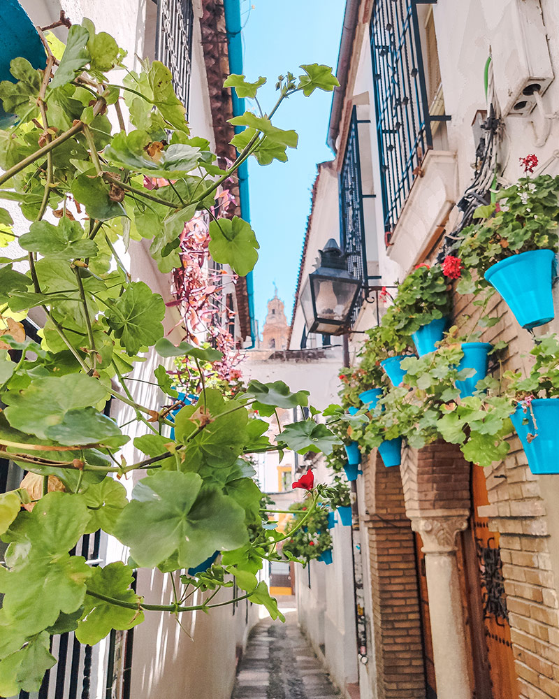 Calleja de las Flores y campanario de la Mezquita de Córdoba